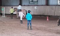 Fête du cheval 2016